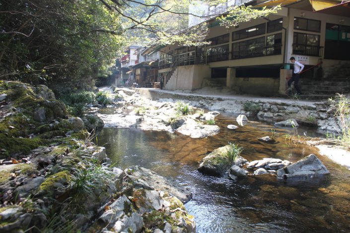 たらいうどん新見屋 四国 徳島県 阿波市観光協会