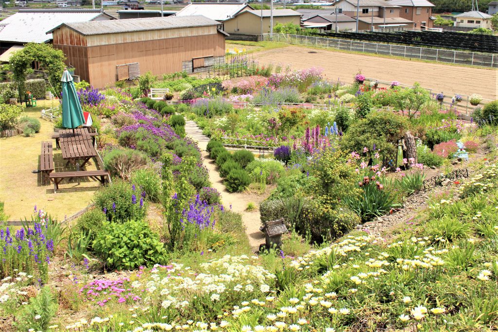 お庭めぐり 陶花 四国 徳島県 阿波市観光協会